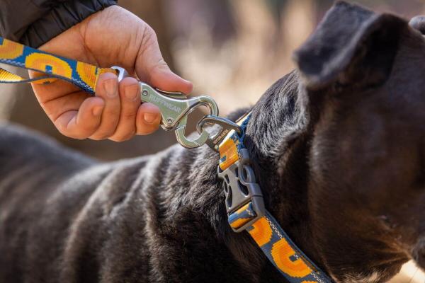 Ruffwear Crag Collar Canyon Oxbow 28-36cm